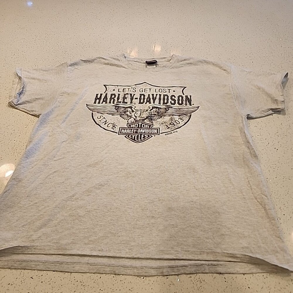 Mens Harley Davidson T-Shirt 2X Barnett El Paso, TX Gray 2022
